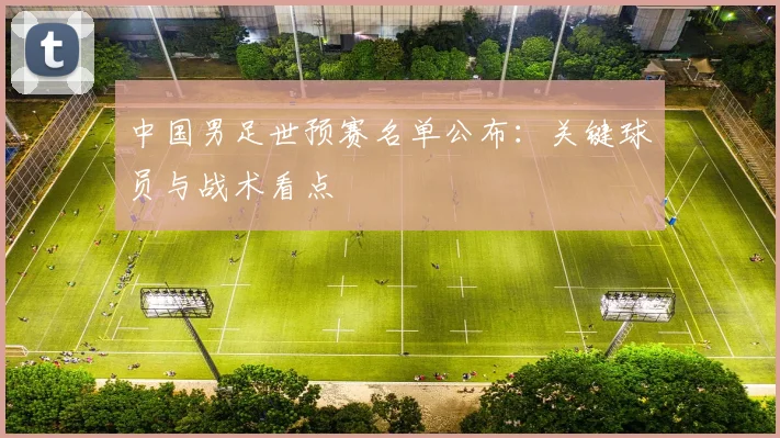 中国男足世预赛名单公布:关键球员与战术看点