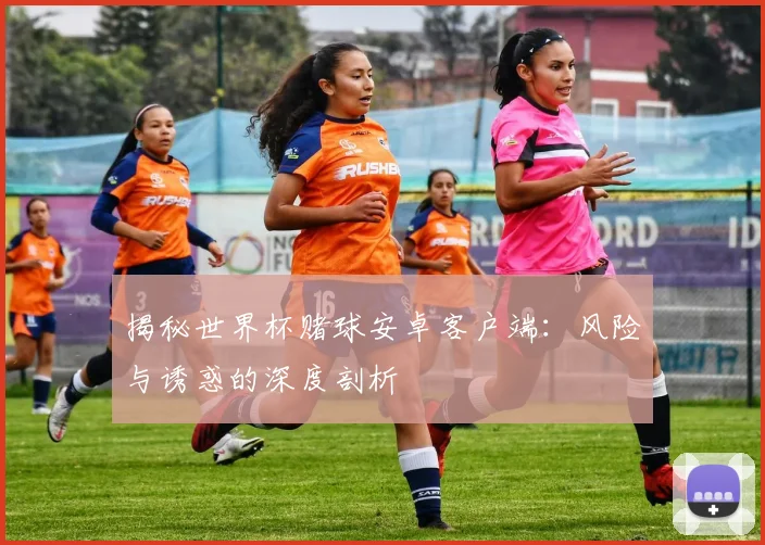 揭秘世界杯赌球安卓客户端：风险与诱惑的深度剖析
