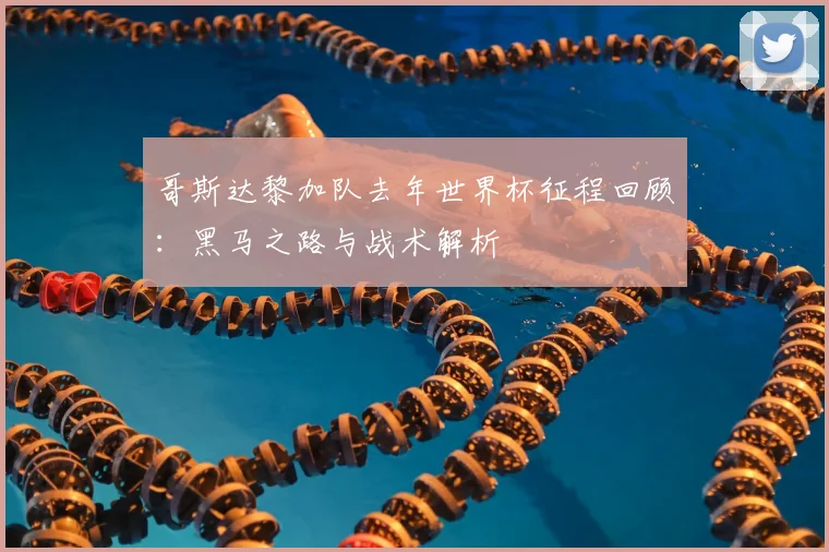 哥斯达黎加队去年世界杯征程回顾：黑马之路与战术解析