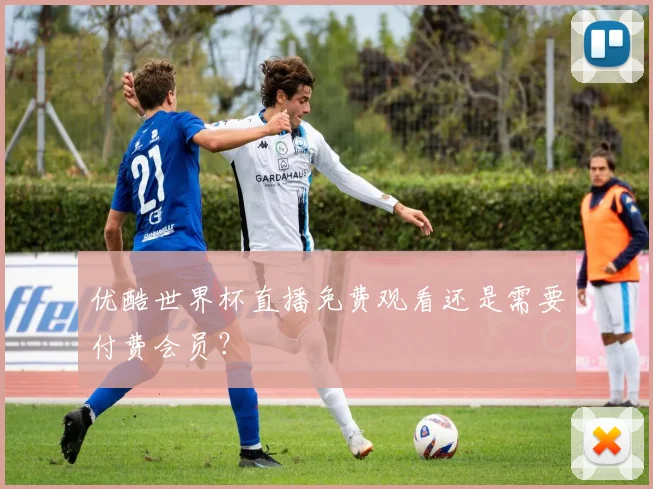 优酷世界杯直播免费观看还是需要付费会员?