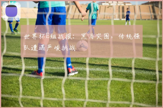 世界杯E组战报:黑马突围,传统强队遭遇严峻挑战